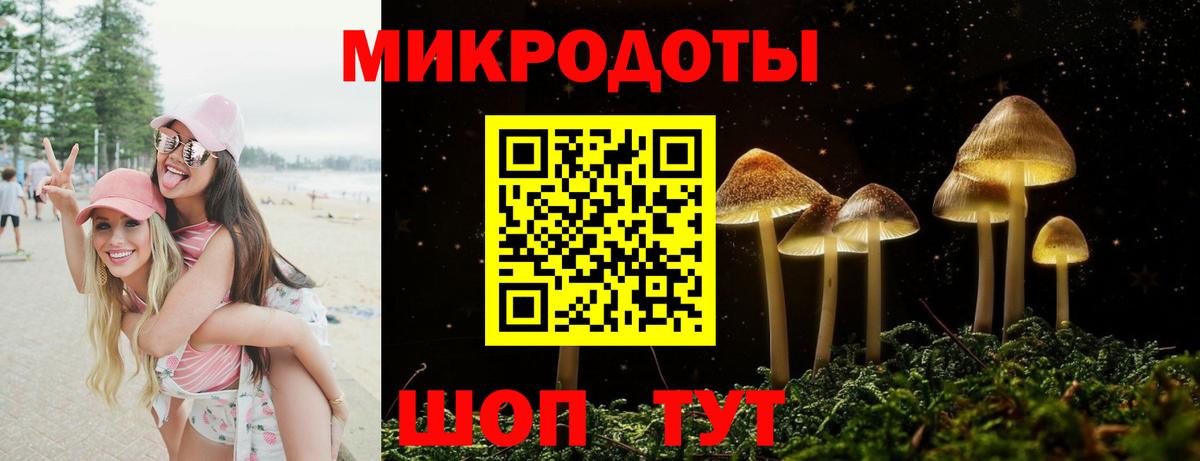 Галлюциногенные грибы Psilocybine cubensis  Вход с VPN  Муравленко 